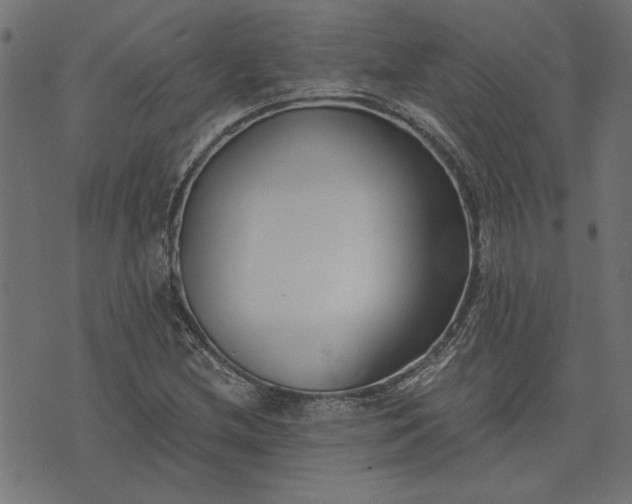 X0000073721212200608171155