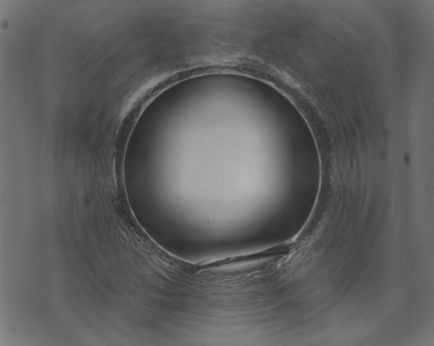 X0000073721214200608171155