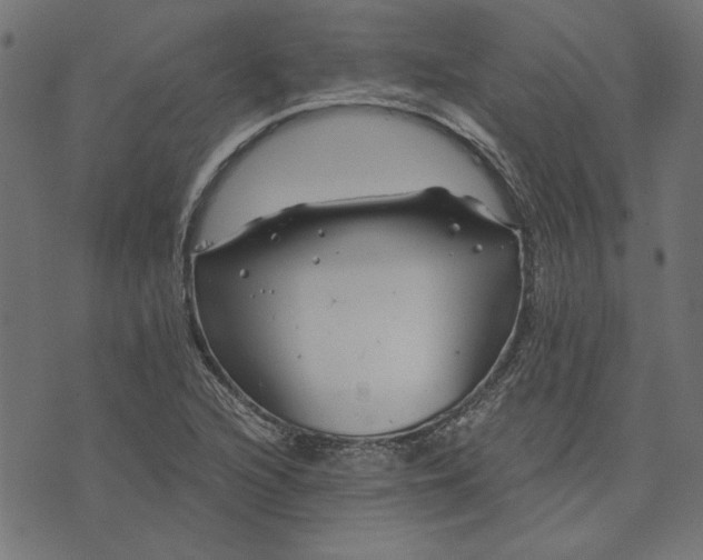 X0000073721216200608171155