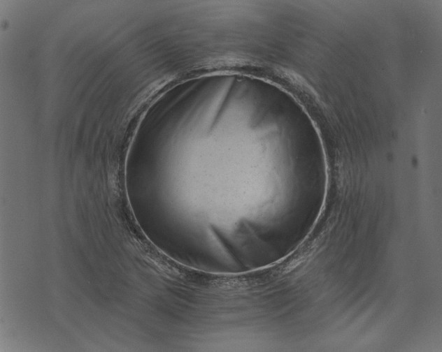 X0000073721217200608171155