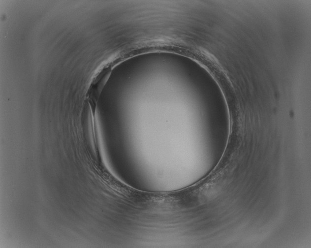 X0000073721218200608171155