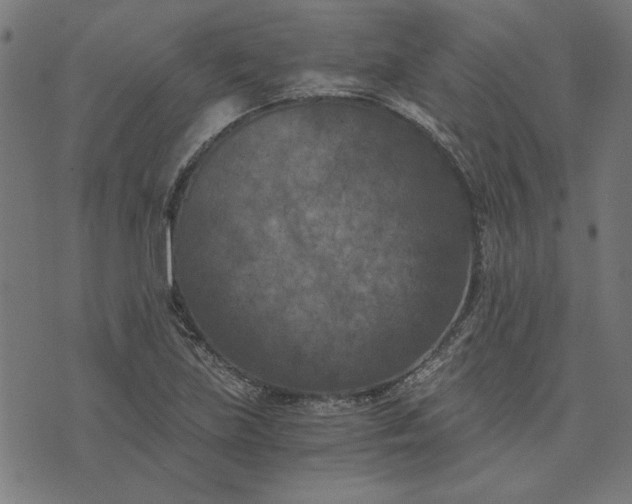 X0000073721219200608171155