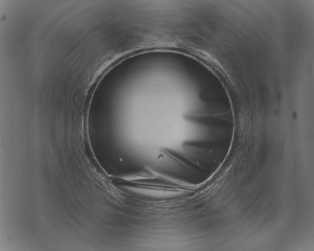 X0000073721220200608171155