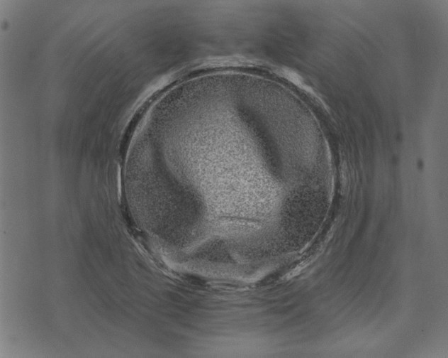 X0000073721221200608171155