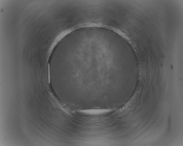 X0000073721223200608171155