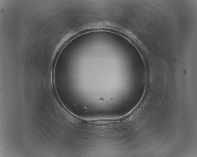 X0000073721224200608171155