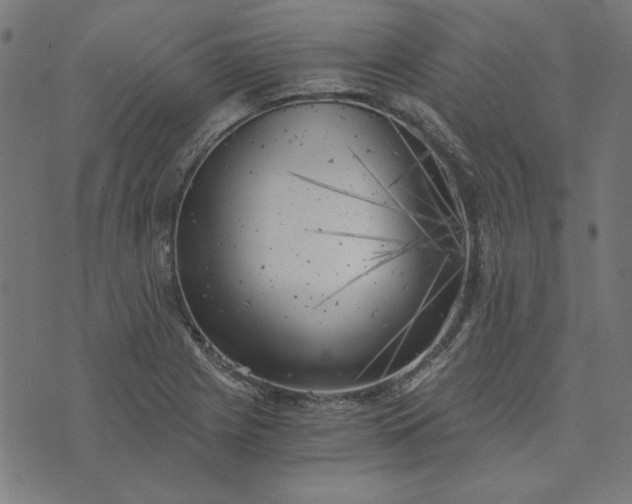 X0000073721225200608171155