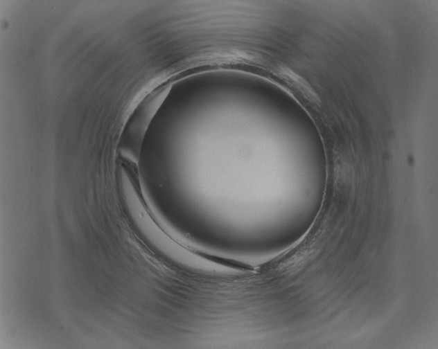 X0000073721226200608171155