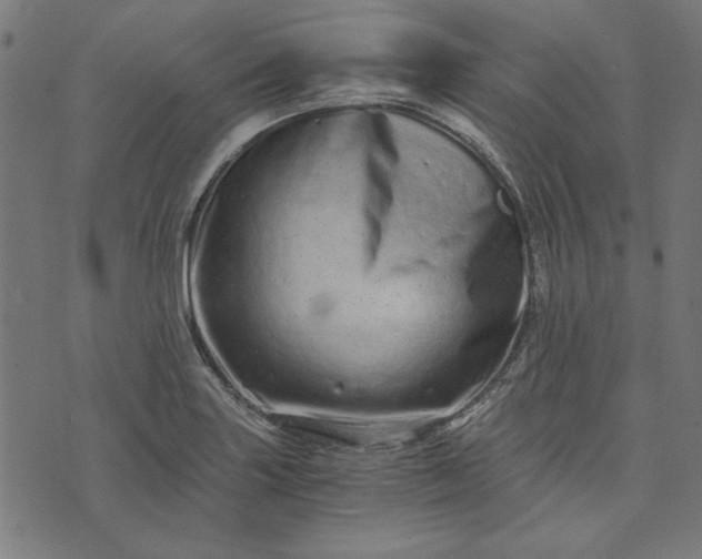 X0000073721227200608171155