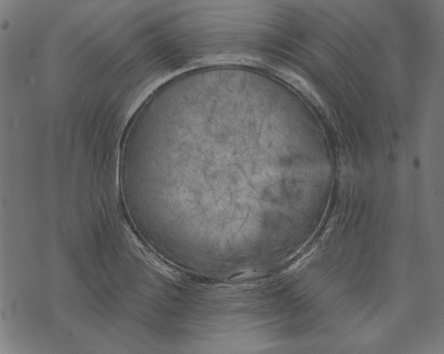 X0000073721228200608171155