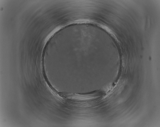 X0000073721229200608171155