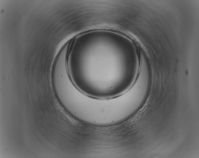 X0000073721230200608171155