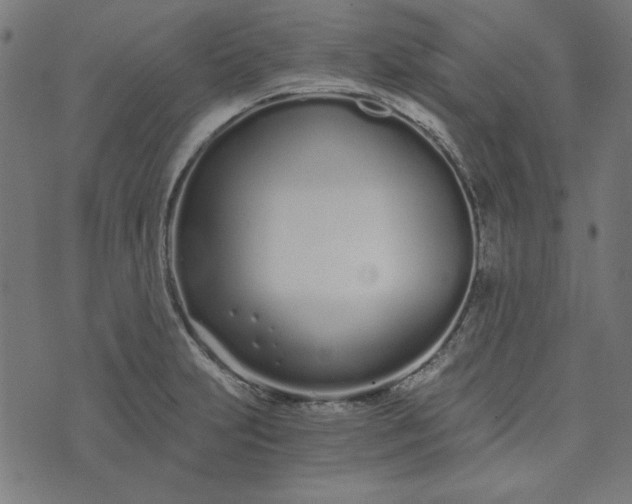 X0000073721231200608171155