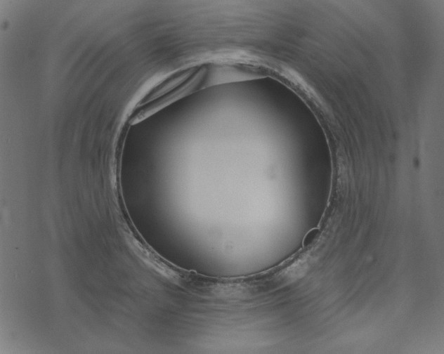 X0000073721232200608171155