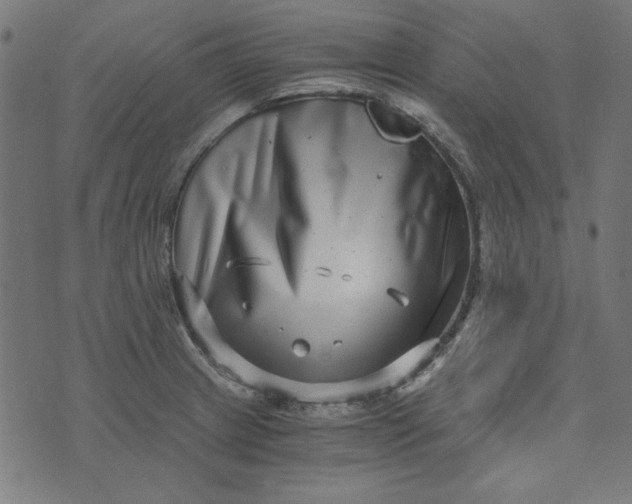 X0000073721233200608171155