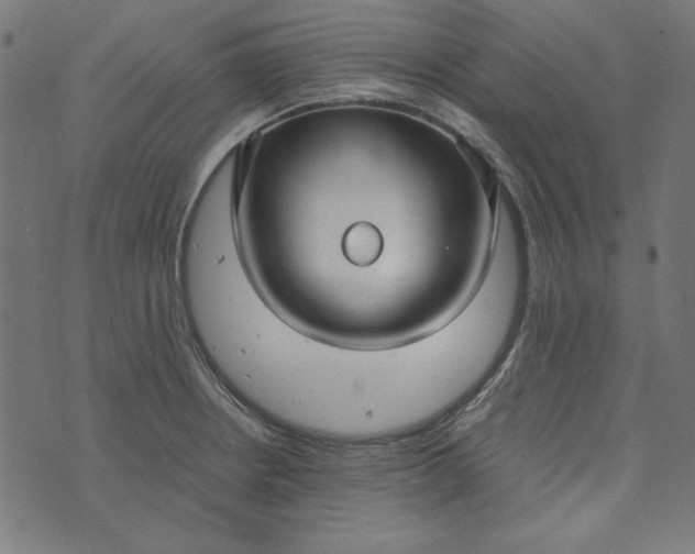 X0000073721234200608171155