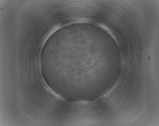 X0000073721235200608171155