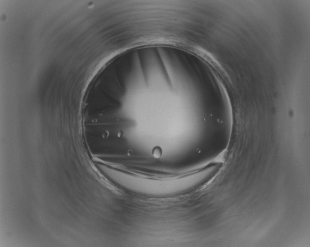 X0000073721236200608171155