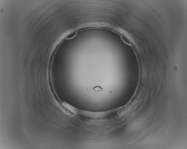 X0000073721237200608171155