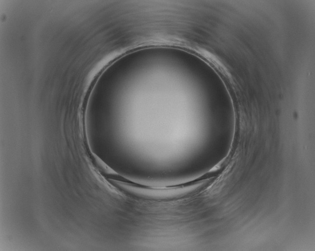 X0000073721238200608171155