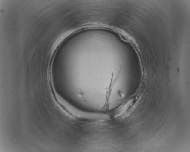 X0000073721239200608171155