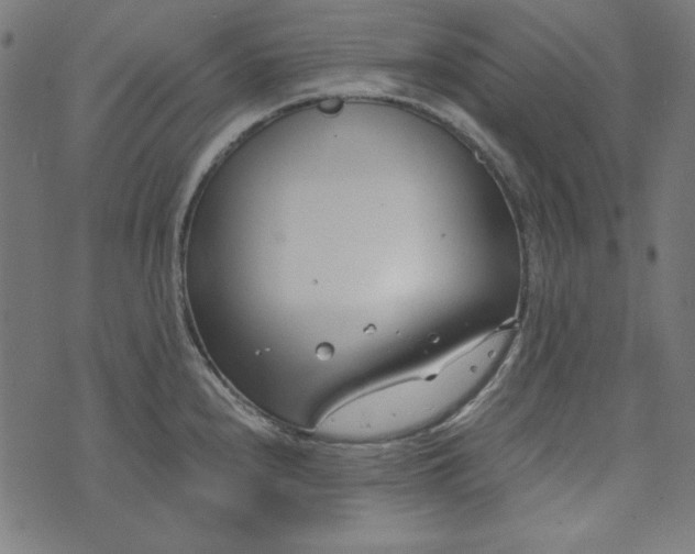 X0000073721240200608171155