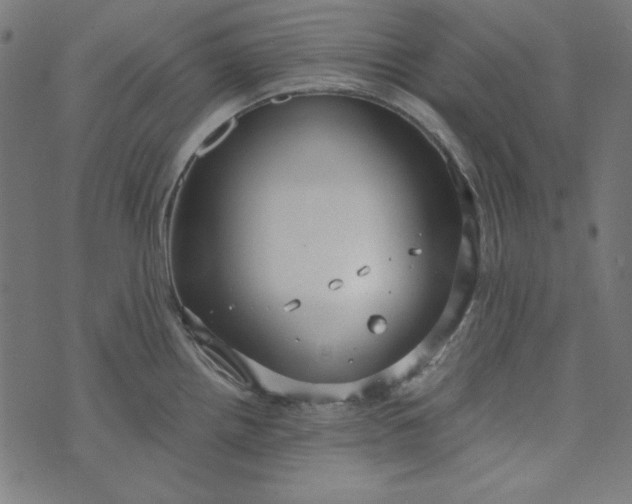 X0000073721242200608171155