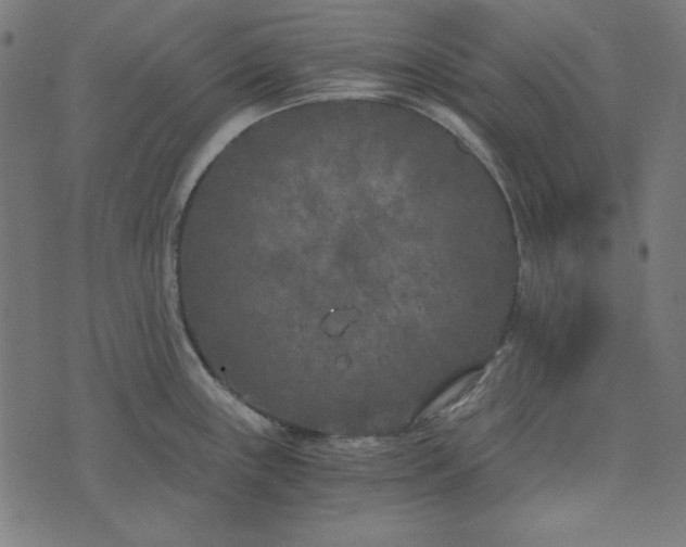 X0000073721243200608171155