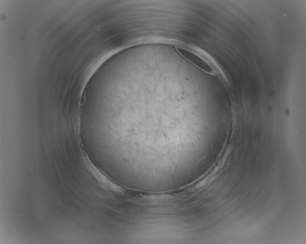 X0000073721244200608171155