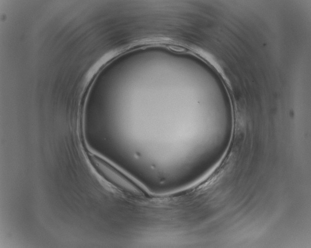 X0000073721245200608171155