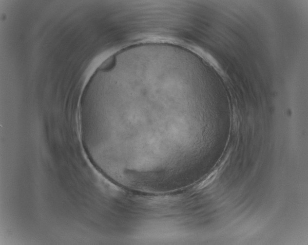 X0000073721247200608171155