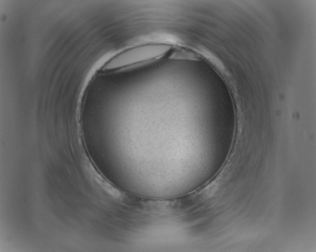 X0000073721248200608171155