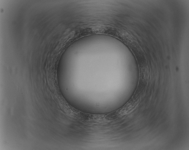 X0000073721249200608171154