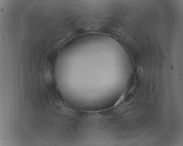 X0000073721250200608171154