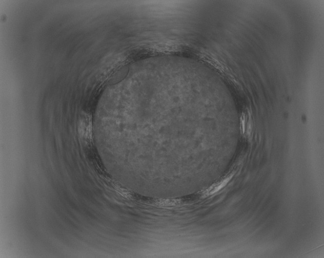 X0000073721251200608171154