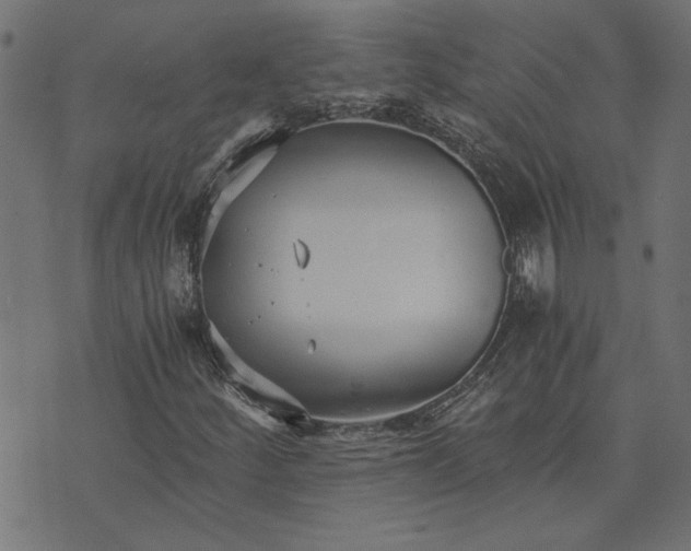 X0000073721252200608171154