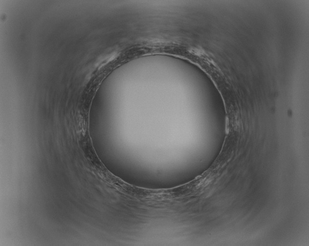 X0000073721253200608171154