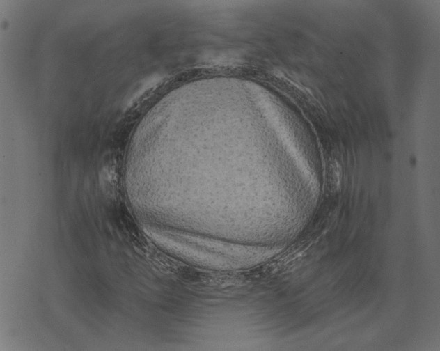 X0000073721254200608171154