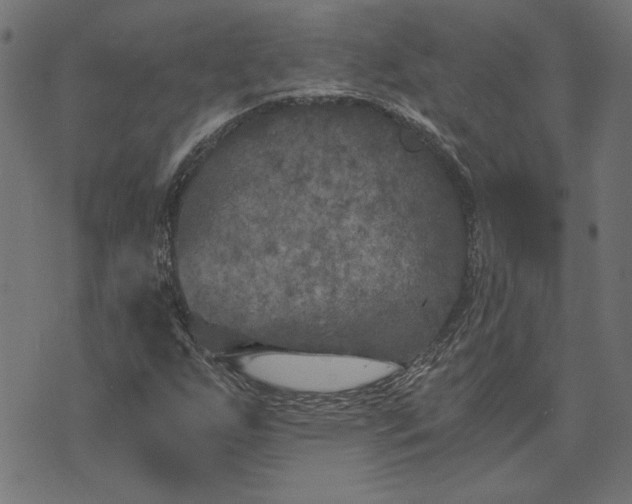 X0000073721255200608171154