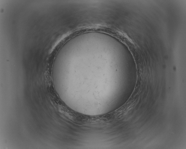 X0000073721256200608171154