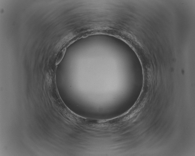 X0000073721257200608171154