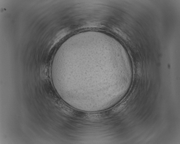 X0000073721258200608171154