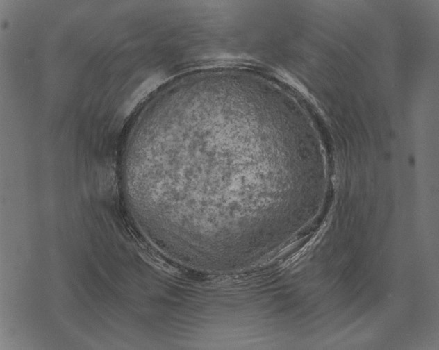 X0000073721259200608171154