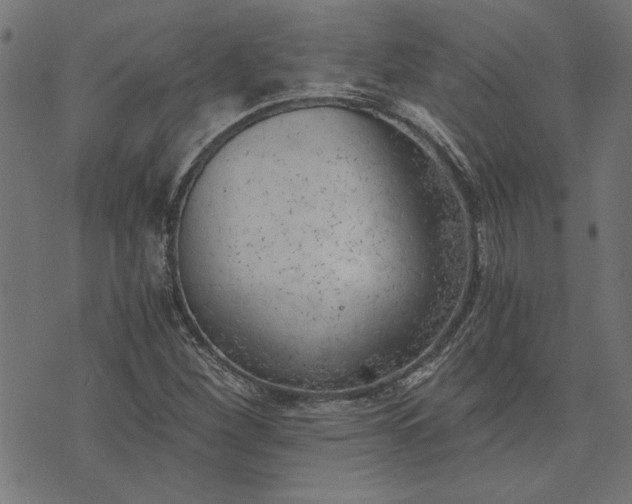 X0000073721260200608171154