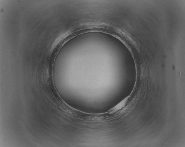 X0000073721261200608171154