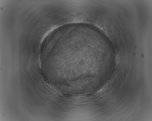 X0000073721262200608171154