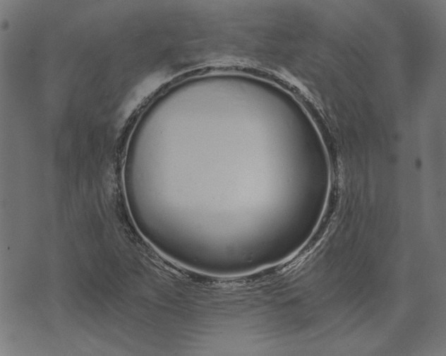 X0000073721263200608171154