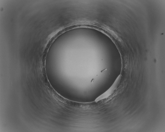 X0000073721264200608171154