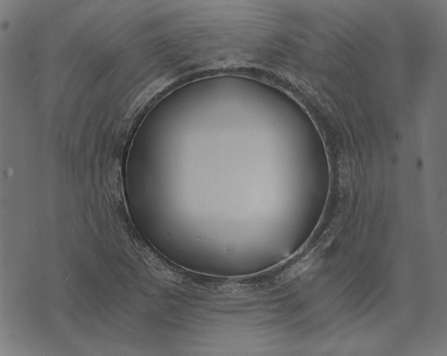 X0000073721265200608171154