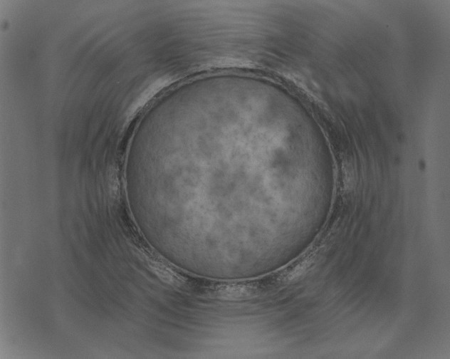 X0000073721266200608171154